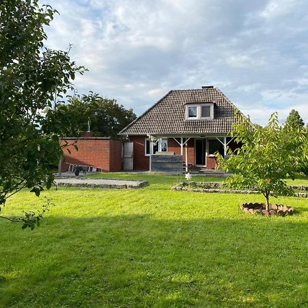 אמדן Ferienhaus Sieglinde Mit Deichblick מראה חיצוני תמונה